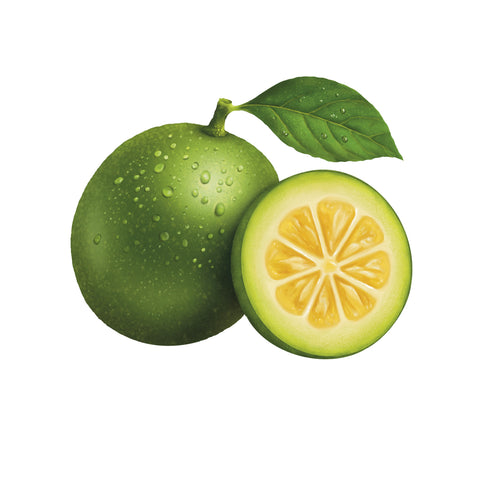 Pure Monk Fruit Sweetener – No Erythritol